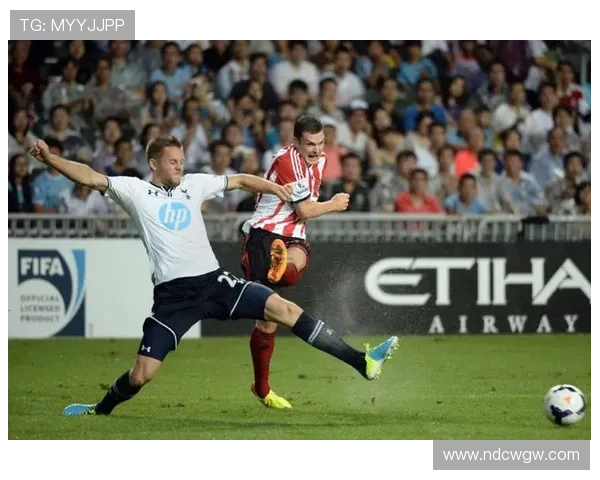 阿森纳球迷与桑德兰球迷发生冲突安保人员介入制止事态升级